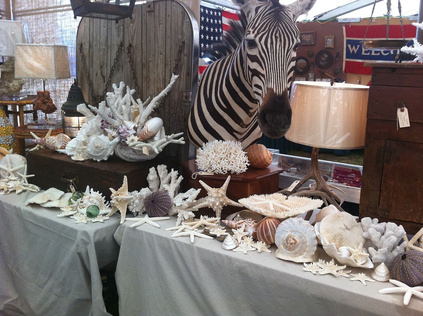 Uploaded from the Photobucket iPhone App