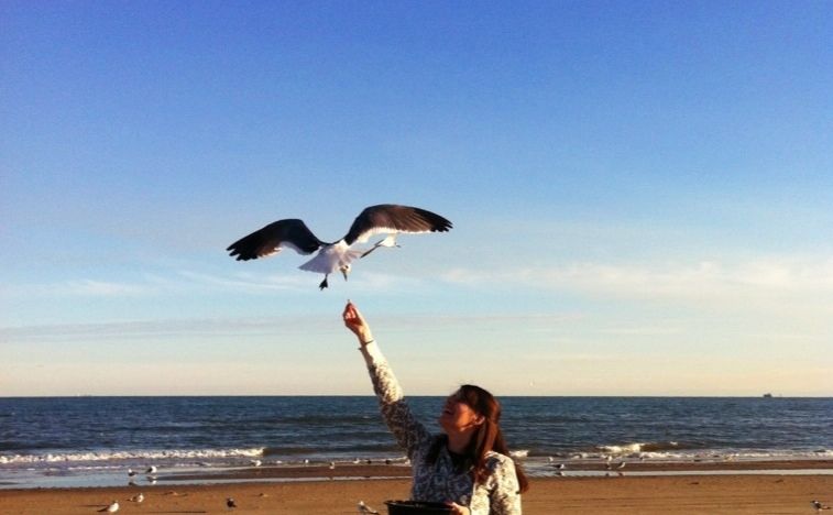 Uploaded from the Photobucket iPhone App