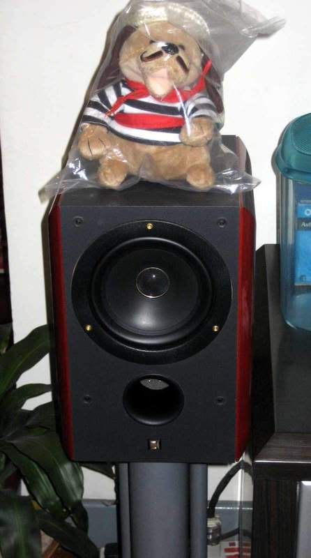kef rdm2