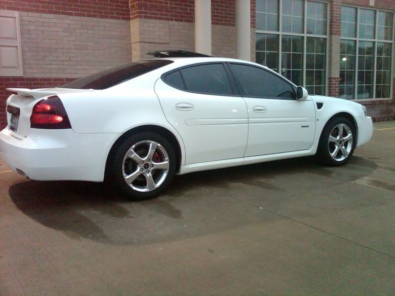 white gxp