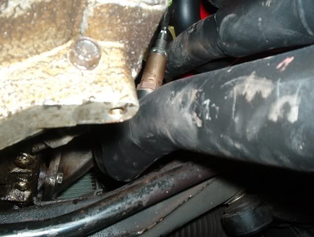 [Image: HeadersUnderCar1.jpg]