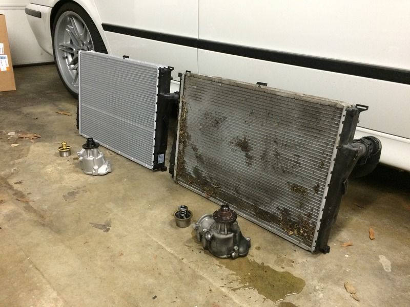 [Image: IMG_3170_zps5gco3jkv.jpg]