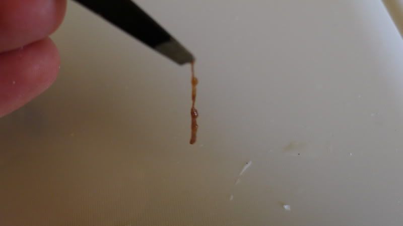 gross-stuff-pictures-images-photos-photobucket