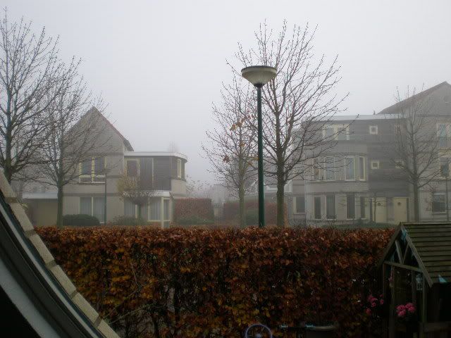 002-30.jpg
