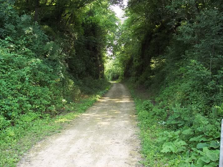 100_0580.jpg Jane Addams Trail taken 7-4-06 image by TreknTeresa