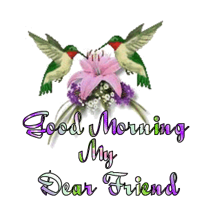 good morning Pictures, Images and Photos