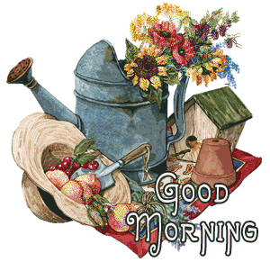 morning Pictures, Images and Photos