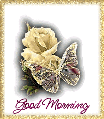 good morning Pictures, Images and Photos