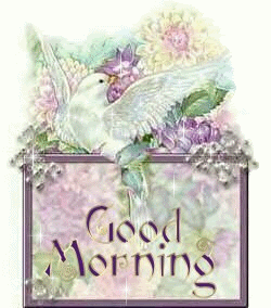 morning Pictures, Images and Photos