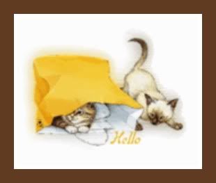 thcats-2.jpg