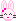 bunny bunny