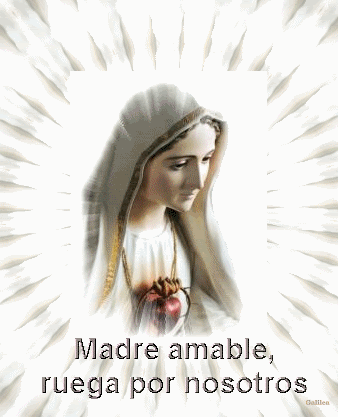 VIRGEN MARIA Pictures, Images and Photos