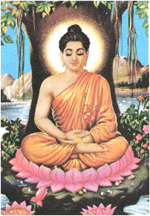 buddha Pictures, Images and Photos