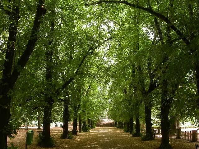 jardim botanico re-creation