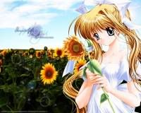 Image hosting by Photobucket