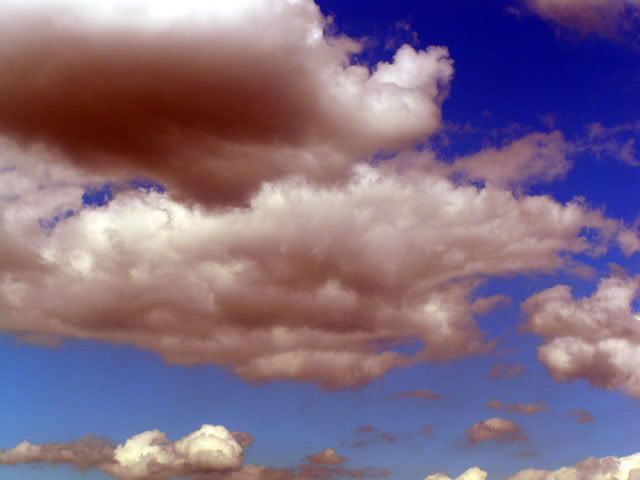 My photo