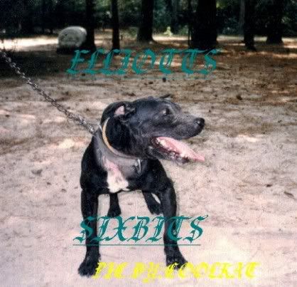 Elliotts-SixBits1.jpg