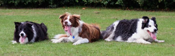 IMAGE: http://i51.photobucket.com/albums/f359/sanrossscot/Family-Portrait2.jpg