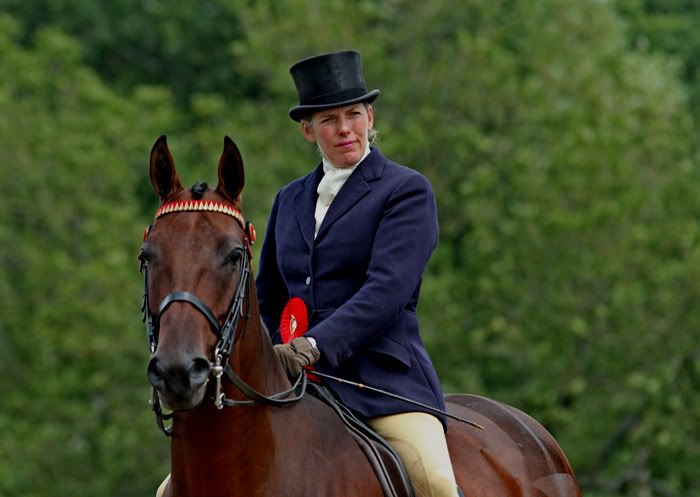 IMAGE: http://i51.photobucket.com/albums/f359/sanrossscot/hstead-27Jul06a.jpg