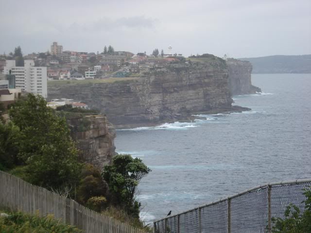 bondi cliffs