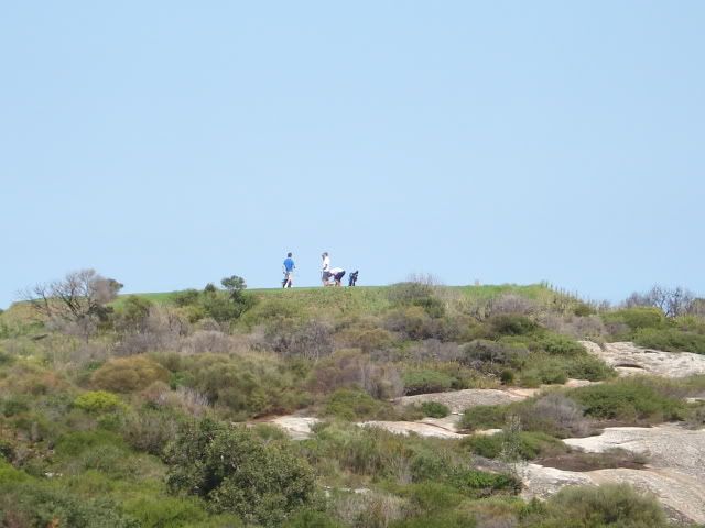 golf course little bay