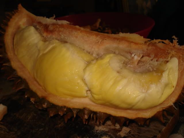 at zije durian