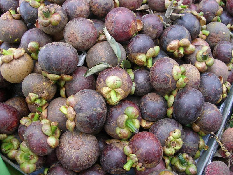 sweet mangosteen thailand 06