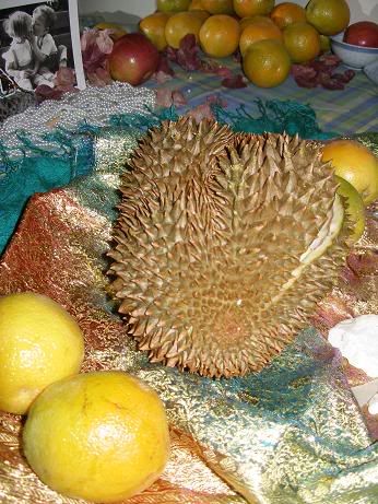magic durian