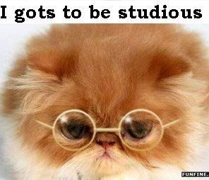 Studious Pictures, Images and Photos