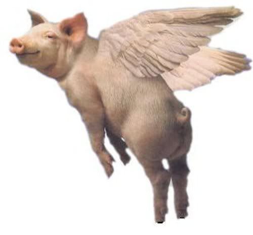 pigs_fly-1.jpg