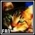 Cat Fan