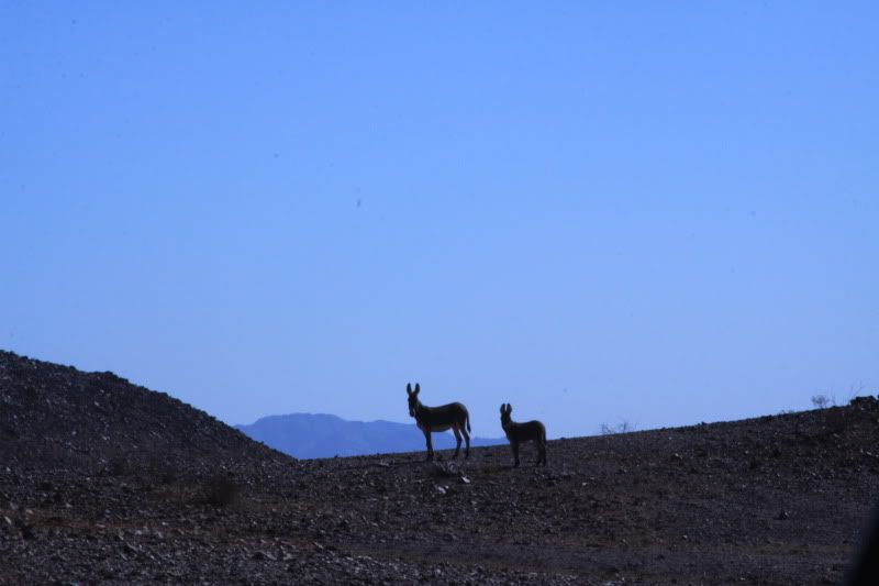 IMG_4024.jpg