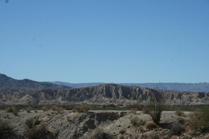 IMG_3067.jpg