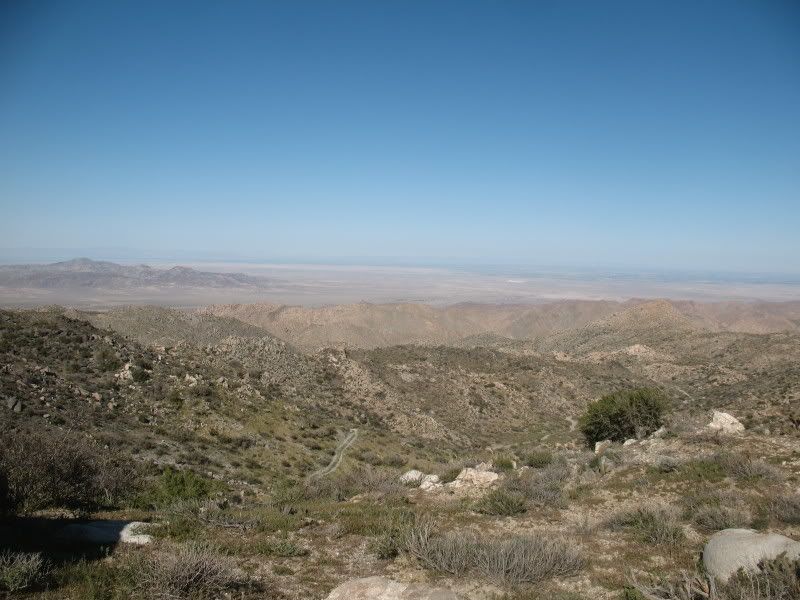 IMG_0127.jpg