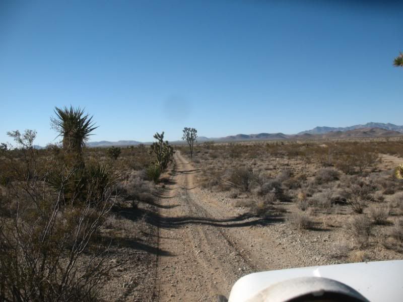 IMG_4809.jpg