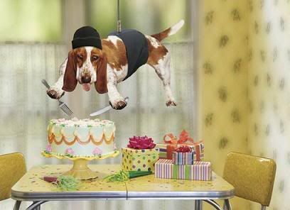 dog birthday cake - rottweiler