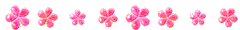 Pink Flower Line