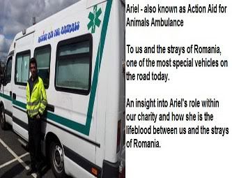 Ariel and her driver Daz - Action Aid for Animals Ambulance