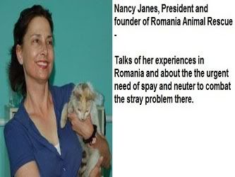 Nancy Janes - CEO and founder of Romania Animal Rescue