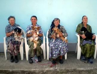 Romanian ladies bring their pets for spaying