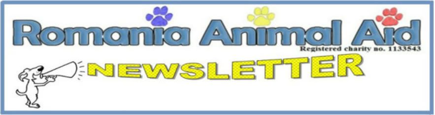 Romania Animal Aid Newsletter
