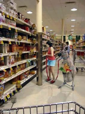 3441_av-shop.jpg