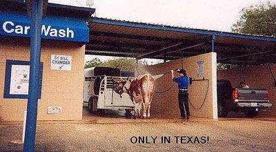 only20in20Texas1.jpg