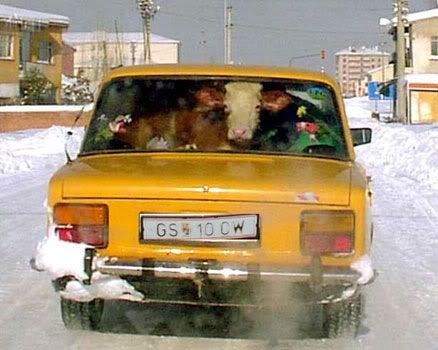 siberia.jpg