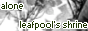 Alone: A Leafpool Shrine