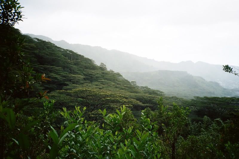 12FV, portra 400nc, xa, o'ahu, 2010