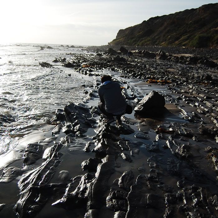 12FV at crystal cove