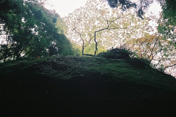 12FV, expired film, Fuji Pro400H, Olympus Stylus Epic, Mt Sekirou