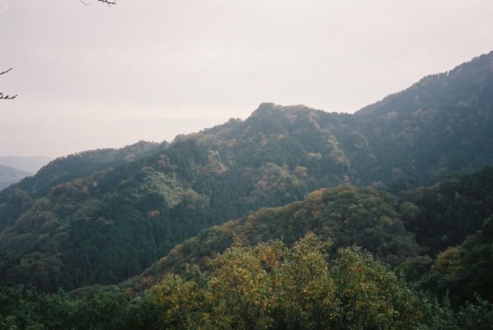 12FV, expired film, Fuji Pro400H, Olympus Stylus Epic, Mt Sekirou