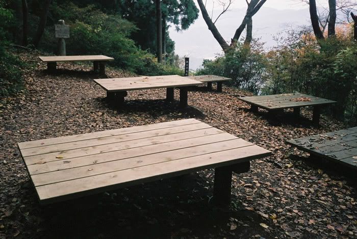 12FV, expired film, Fuji Pro400H, Olympus Stylus Epic, Mt Sekirou